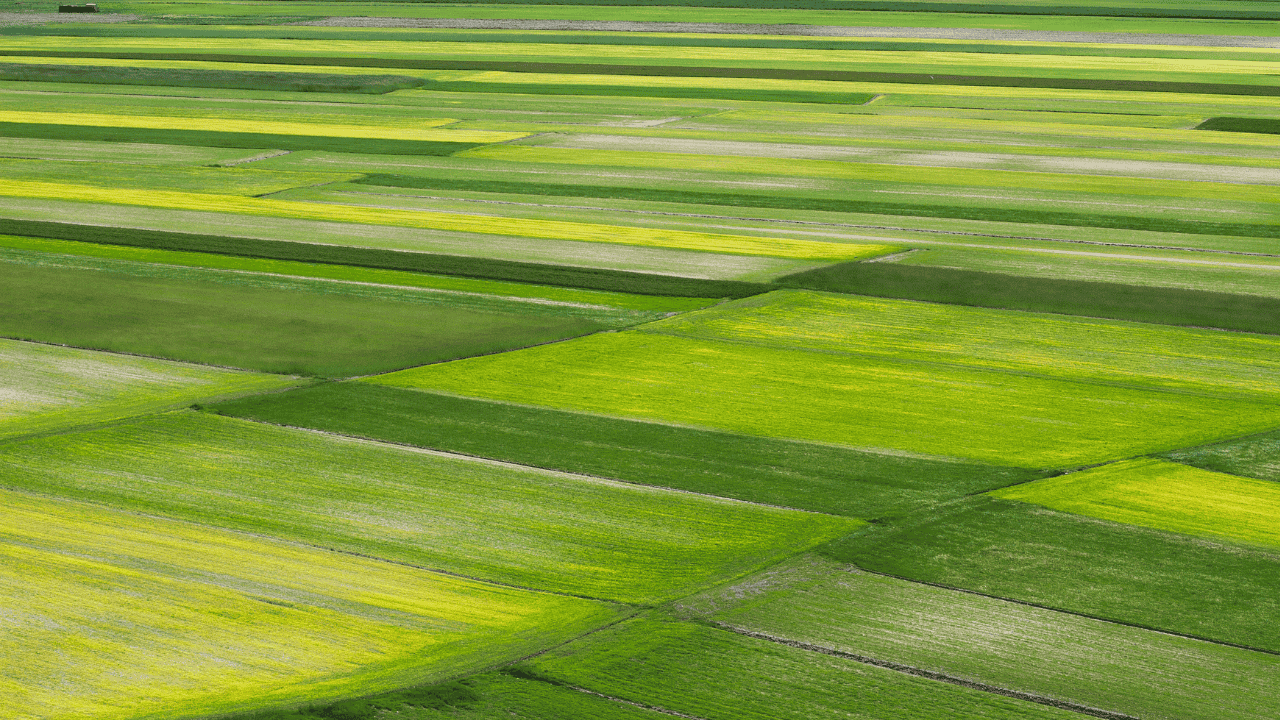 Tetragreen - Asd Polisportiva Gioiosa